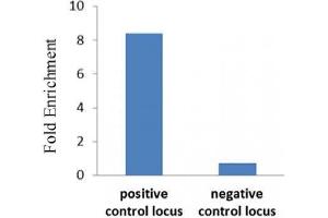 RBPJ antibody (mAb) tested by ChIP.