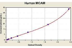 Diagramm of the ELISA kit to detect Human MCAMwith the optical density on the x-axis and the concentration on the y-axis. (MCAM Kit ELISA)