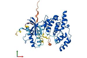 AlphaFold protein structure predicition of Mouse Recombinant Mapk8 Protein, UniprotID Q91Y86