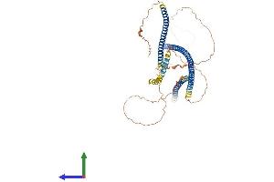 AlphaFold protein structure predicition of Mouse Recombinant Iffo1 Protein, UniprotID Q8BXL9