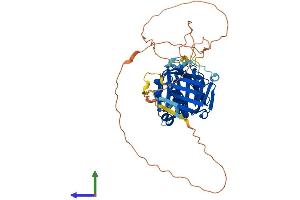 AlphaFold protein structure predicition of Human Recombinant RAD9B Protein, UniprotID Q6WBX8