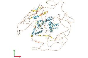 AlphaFold protein structure predicition of Mouse Recombinant Rest Protein, UniprotID Q8VIG1