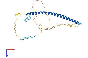 AlphaFold protein structure predicition of Human Recombinant GMNN Protein, UniprotID O75496