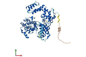 AlphaFold protein structure predicition of Human Recombinant GRK6 Protein, UniprotID P43250