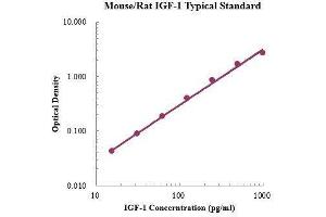 ELISA image for Insulin-Like Growth Factor 1 (IGF1) ELISA Kit (ABIN3198551) (IGF1 Kit ELISA)