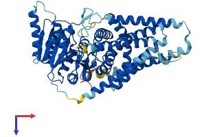 AlphaFold protein structure predicition of Mouse Recombinant Has2 Protein, UniprotID P70312