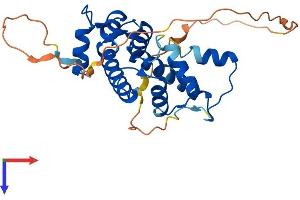 AlphaFold protein structure predicition of Mouse Recombinant Pef1 Protein, UniprotID Q8BFY6