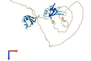 AlphaFold protein structure predicition of Human Recombinant MSI2 Protein, UniprotID Q96DH6