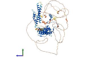AlphaFold protein structure predicition of Mouse Recombinant Cnot3 Protein, UniprotID Q8K0V4
