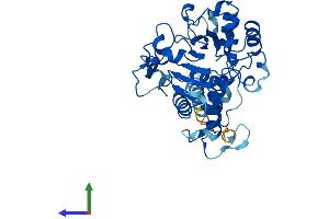 AlphaFold protein structure predicition of Mouse Recombinant St3gal3 Protein, UniprotID P97325