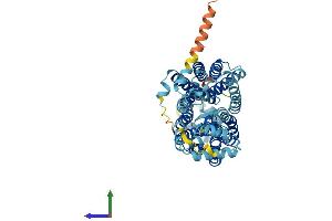 AlphaFold protein structure predicition of Mouse Recombinant Slc22a3 Protein, UniprotID Q9WTW5