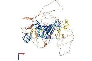 AlphaFold protein structure predicition of Human Recombinant TNK2 Protein, UniprotID Q07912