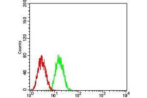 Flow cytometric analysis of HepG2 cells using GLI1 mouse mAb (green) and negative control (red).