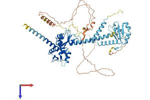 AlphaFold protein structure predicition of Mouse Recombinant Larp7 Protein, UniprotID Q05CL8