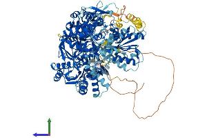 AlphaFold protein structure predicition of Mouse Recombinant Nos2 Protein, UniprotID P29477