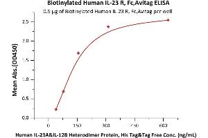 Immobilized Biotinylated Human IL-23 R, Fc,Avitag (ABIN6810042,ABIN6938853) at 5 μg/mL (100 μL/well) on Streptavidin precoated (0.