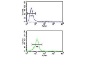 Olig3 antibody flow cytometric analysis of U251 cells (bottom histogram) compared to a negative control (top histogram).