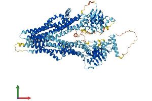 AlphaFold protein structure predicition of Human Recombinant ABCC4 Protein, UniprotID O15439