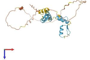 AlphaFold protein structure predicition of Mouse Recombinant Snai1 Protein, UniprotID Q02085