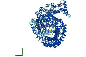 AlphaFold protein structure predicition of Human Recombinant CSE1L Protein, UniprotID P55060
