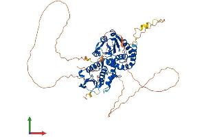 AlphaFold protein structure predicition of Mouse Recombinant Cdc14a Protein, UniprotID Q6GQT0