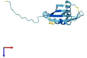 AlphaFold protein structure predicition of Mouse Recombinant Rpp14 Protein, UniprotID Q9CQH8