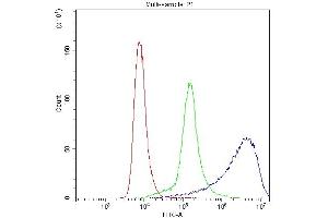Flow Cytometry analysis of Hela cells using anti-PPP1R12A antibody (ABIN3043902). (PPP1R12A anticorps  (N-Term))