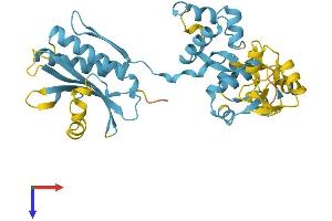 AlphaFold protein structure predicition of Mouse Recombinant Nprl2 Protein, UniprotID Q9WUE4
