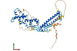 AlphaFold protein structure predicition of Human Recombinant CHMP7 Protein, UniprotID Q8WUX9