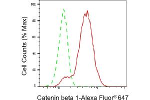 Flow cytometric analysis of Catenin beta 1 expression in C2C12 cells using Catenin beta 1 antibody (ABIN7797926), 1:2,000).