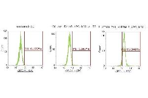 Flow Cytometry (FACS) image for anti-Protein Phosphatase 1F (PP2C Domain Containing) (PPM1F) (AA 1-454) antibody (APC) (ABIN5568331)