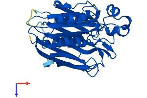 AlphaFold protein structure predicition of Human Recombinant TANGO2 Protein, UniprotID Q6ICL3