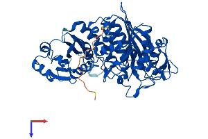 AlphaFold protein structure predicition of Human Recombinant NPEPL1 Protein, UniprotID Q8NDH3