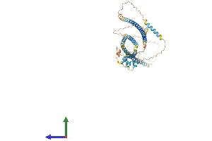 AlphaFold protein structure predicition of Human Recombinant EFCAB14 Protein, UniprotID O75071