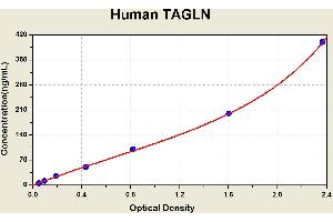 Diagramm of the ELISA kit to detect Human TAGLNwith the optical density on the x-axis and the concentration on the y-axis. (Transgelin Kit ELISA)