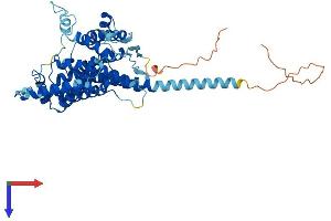 AlphaFold protein structure predicition of Mouse Recombinant Ptdss2 Protein, UniprotID Q9Z1X2