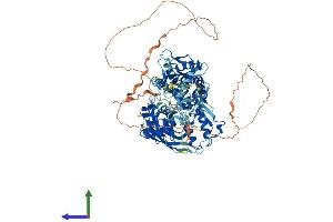 AlphaFold protein structure predicition of Human Recombinant WWP1 Protein, UniprotID Q9H0M0