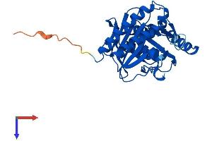 AlphaFold protein structure predicition of Mouse Recombinant Impa2 Protein, UniprotID Q91UZ5