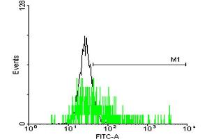 FACS analysis of negative control 293 cells (Black) and MRGPRX2 expressing 293 cells (Green) using MRGPRX2 purified MaxPab mouse polyclonal antibody.