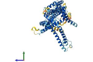 AlphaFold protein structure predicition of Human Recombinant SLC44A4 Protein, UniprotID Q53GD3