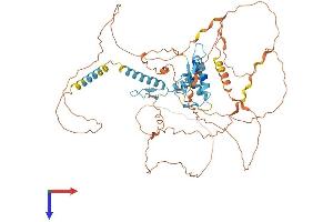 AlphaFold protein structure predicition of Human Recombinant GLIS1 Protein, UniprotID Q8NBF1