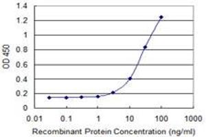 Detection limit for recombinant GST tagged DMP1 is 1 ng/ml as a capture antibody.