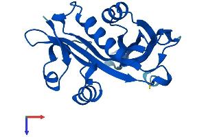 AlphaFold protein structure predicition of Mouse Recombinant Naa20 Protein, UniprotID P61600