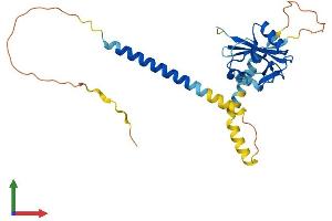 AlphaFold protein structure predicition of Mouse Recombinant Klra7 Protein, UniprotID Q60654