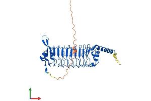 AlphaFold protein structure predicition of Human Recombinant LRRC23 Protein, UniprotID Q53EV4