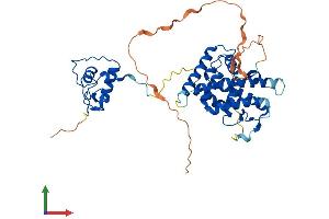 AlphaFold protein structure predicition of Mouse Recombinant Hnf4g Protein, UniprotID Q9WUU6