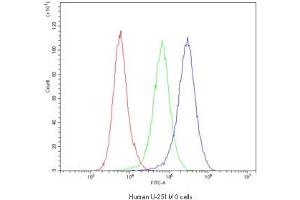 Flow cytometry testing of human U-251 MG cells with Dynamin 1 antibody at 1ug/10^6 cells (blocked with goat sera) (Dynamin 1 anticorps)