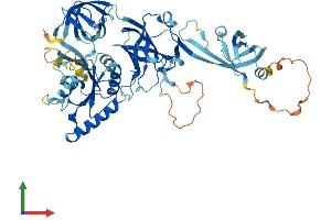 AlphaFold protein structure predicition of Mouse Recombinant Eefsec Protein, UniprotID Q9JHW4