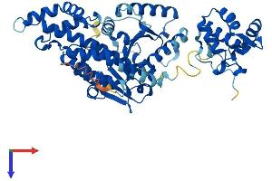 AlphaFold protein structure predicition of Human Recombinant EHD1 Protein, UniprotID Q9H4M9