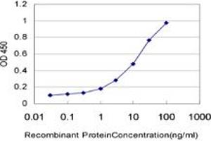 Detection limit for recombinant GST tagged GMPPB is approximately 0.